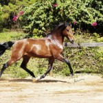 Urrante Interagro/Johnny Duarte