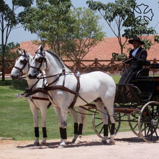 Xilógrafo Interagro (left) & Xador Interagro (right)