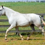 Xelita Interagro/Martina Brandes