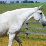 Xelita Interagro/Martina Brandes