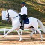 Johnny Miranda & Zepelim Interagro, 1st place at Medium Tour/Inter A at the 2nd phase of 2019 Interagro Dressage Ranking/Interagro Lusitanos