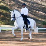Johnny Miranda & Zepelim Interagro, 1st place at Medium Tour/Inter A at the 2nd phase of 2019 Interagro Dressage Ranking/Interagro Lusitanos