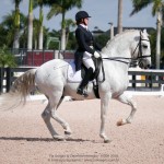 Zepelim Interagro/Interagro Lusitanos AGDF 2018 - Wellington, FL, USA