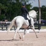 Zepelim Interagro/Interagro Lusitanos AGDF 2018 - Wellington, FL, USA