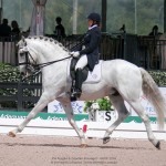 Zepelim Interagro/Interagro Lusitanos AGDF 2018 - Wellington, FL, USA