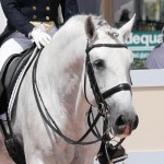 Zepelim Interagro/Interagro Lusitanos AGDF 2018 - Wellington, FL, USA