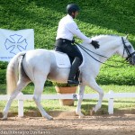 Zepelim Interagro/Martina Brandes