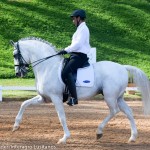 Zepelim Interagro/Martina Brandes