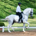 Zepelim Interagro/Martina Brandes