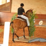 Zigurate Interagro/Interagro Lusitanos