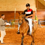 Zigurate Interagro/Interagro Lusitanos