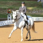 Zepelim Interagro/Interagro Lusitanos