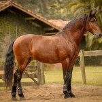 Empreiteiro Interagro/LUIS RUAS