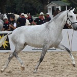 Daysy Interagro/Ney Messi