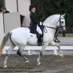 Zepelim Interagro/Interagro Lusitanos