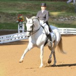 Zepelim Interagro at Odesur 2014/Interagro Lusitanos