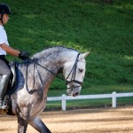 Edmar Brito & Indus Interagro/Interagro Lusitanos