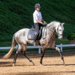 Edmar Brito & Indus Interagro/Interagro Lusitanos