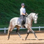 Edmar Brito & Indus Interagro/Interagro Lusitanos
