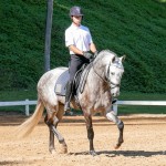Edmar Brito & Indus Interagro/Interagro Lusitanos