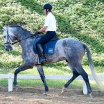 Indus Interagro/Interagro Lusitanos