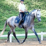 Indus Interagro/Interagro Lusitanos