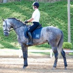 Indus Interagro/Interagro Lusitanos