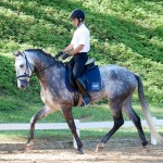 Indus Interagro/Interagro Lusitanos