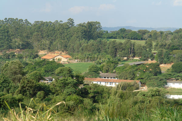 From Coffee to Horses