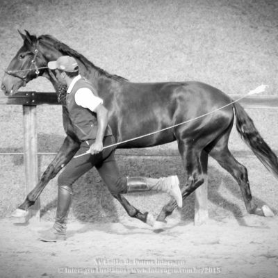 Juneau Interagro/Interagro Lusitanos