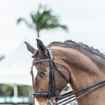 Hectar Interagro/Ernesto Photograhy