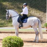 Hanibal Interagro & Edmar Brito, 1st place Fourth Level at the 2nd phase of 2019 Interagro Dressage Ranking/Interagro Lusitanos