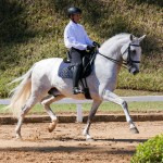 Hanibal Interagro & Edmar Brito, 1st place Fourth Level at the 2nd phase of 2019 Interagro Dressage Ranking/Interagro Lusitanos