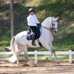 Hanibal Interagro & Edmar Brito, 1st place Fourth Level at the 2nd phase of 2019 Interagro Dressage Ranking/Interagro Lusitanos