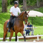 Hectar Interagro/Interagro Lusitanos