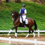 Hectar Interagro, Small Tour PSG Lusitano gelding/Photo: Interagro Lusitanos