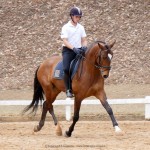 Hectar Interagro/Interagro Lusitanos