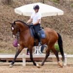 Hectar Interagro/Interagro Lusitanos