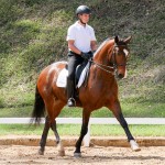 Hectar Interagro at 2nd phase of Interagro Dressage Ranking 2018
