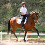 Hectar Interagro at 2nd phase of Interagro Dressage Ranking 2018