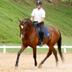 Hectar Interagro/Interagro Lusitanos