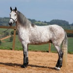 Herbert Interagro | Photo: TUPA