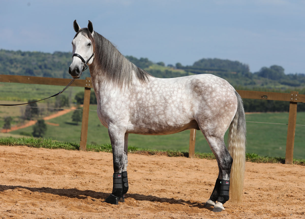 Herbert Interagro | Photo: TUPA