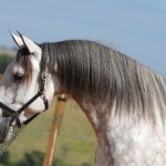 Herbert Interagro | Photo: TUPA