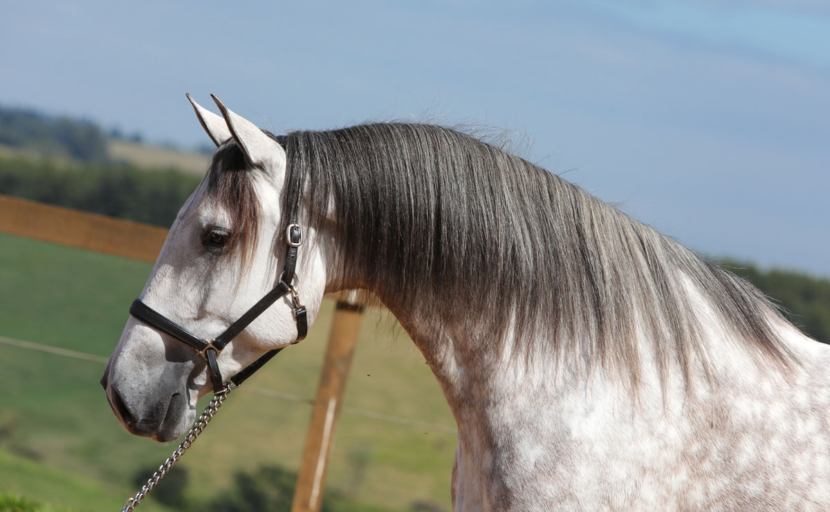 Herbert Interagro | Photo: TUPA