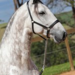 Herbert Interagro | Photo: TUPA