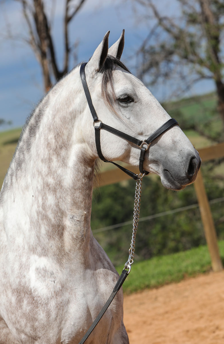 Herbert Interagro | Photo: TUPA