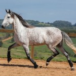 Herbert Interagro | Photo: TUPA