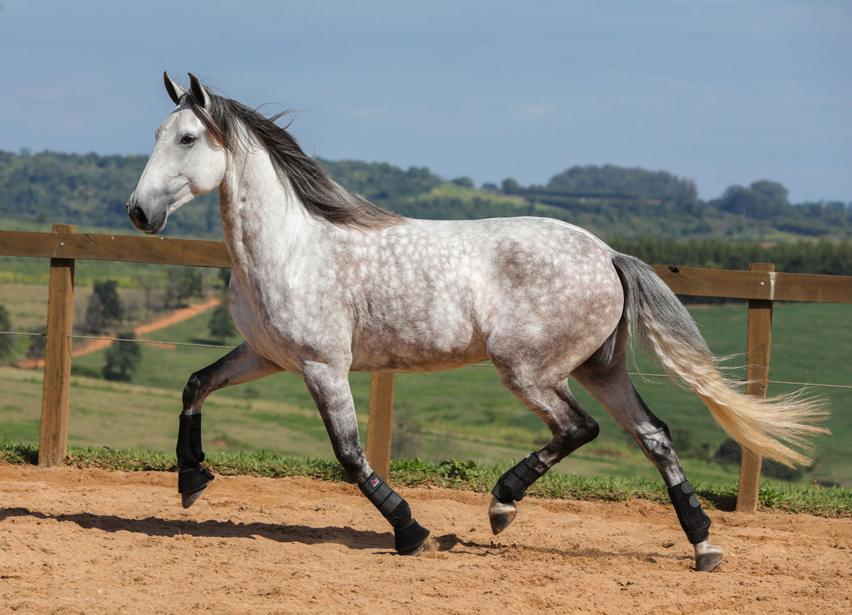 Herbert Interagro | Photo: TUPA