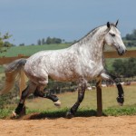 Herbert Interagro | Photo: TUPA